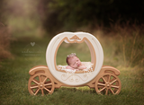 Carriage Prop