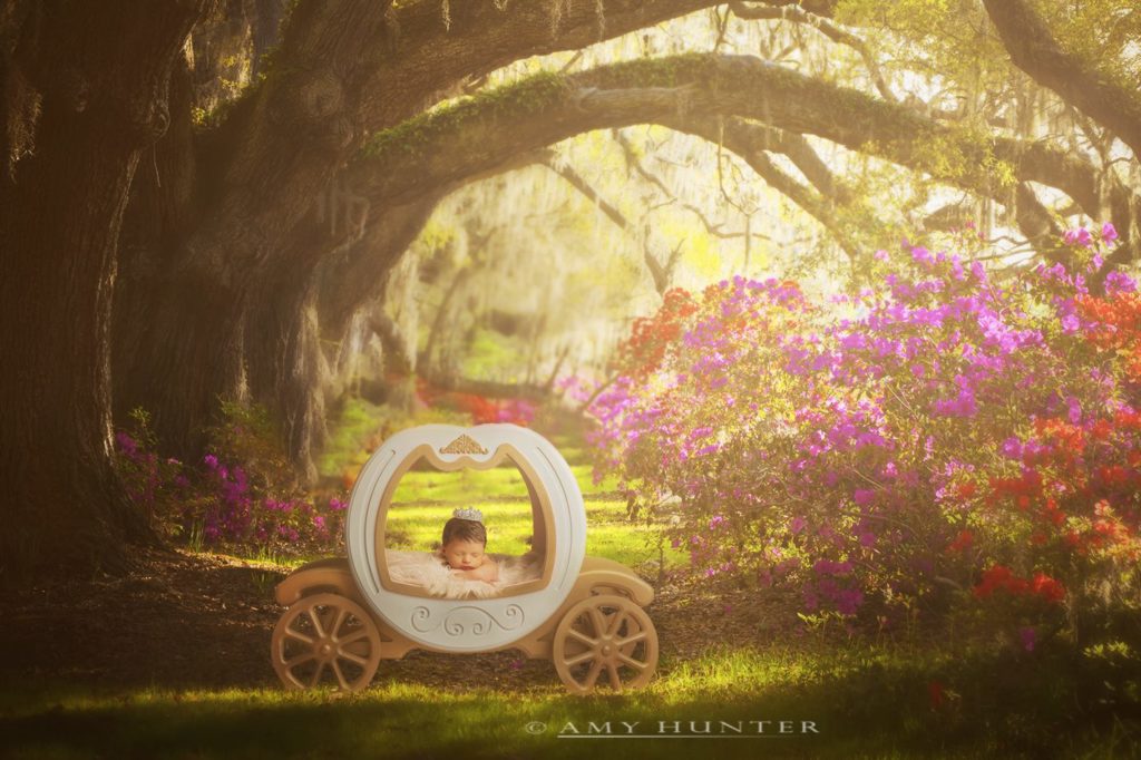 Princess Photo Prop