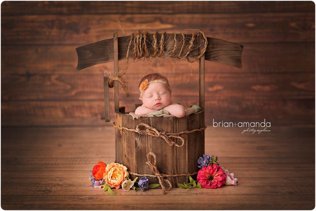Wishing Well Prop