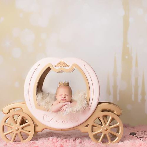 bird-nest-baby-15