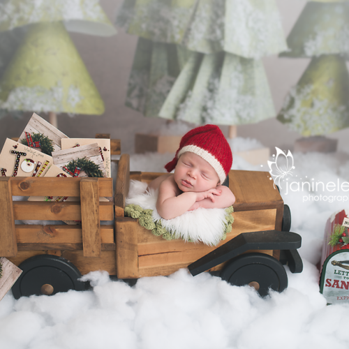 Janine Leigh Photography 49
