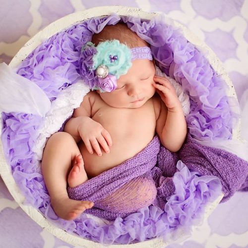 For The Love of Lilac Backdrop