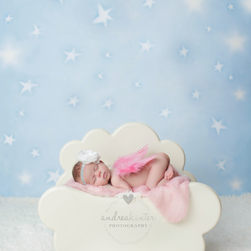 Andrea Kinter Photography 28