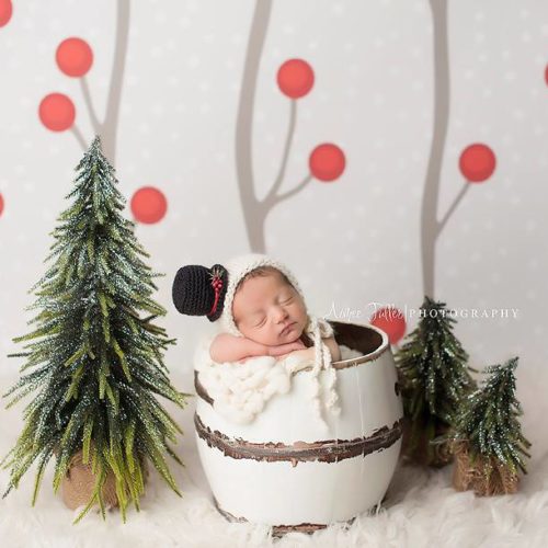 Holiday Berries Backdrop