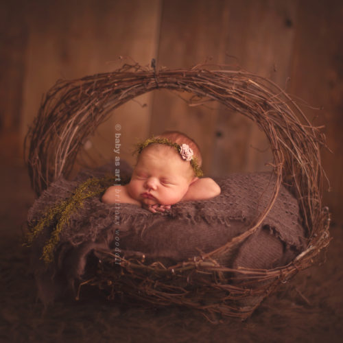 Field Basket Prop