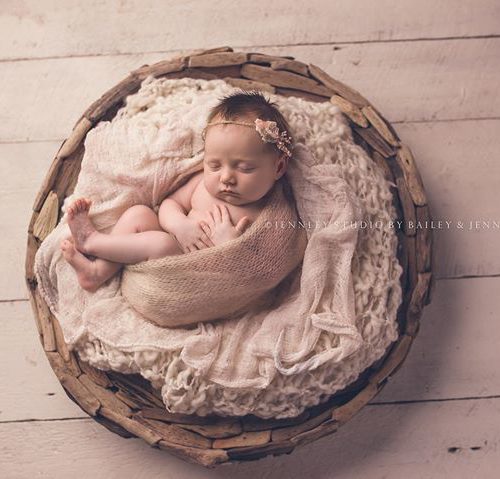 Large Driftwood Bowl