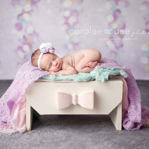 Bow Bench Photo Prop