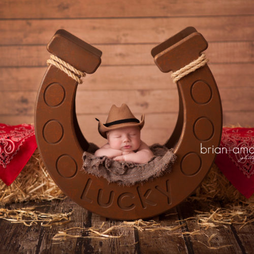 Horseshoe Photo Prop