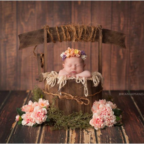 wishing well prop
