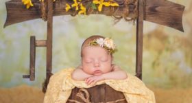 Weekly Fan Faves — Wishing Well Prop Inspiration (Newborn Photography Props)
