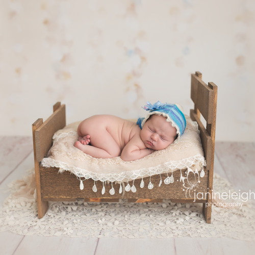 Barnwood Bed Photo Prop
