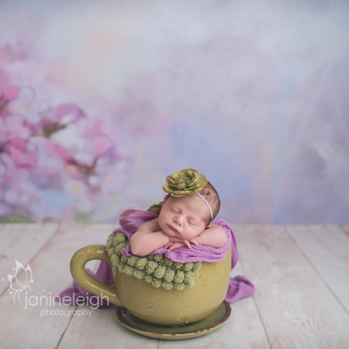 Violet Rays Floral Backdrop