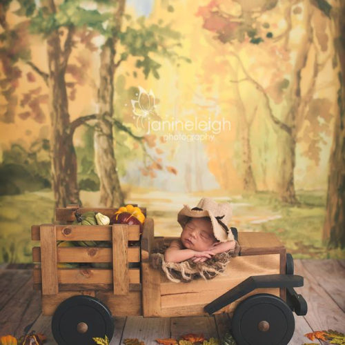 Autumn Trail backdrop and Truck photo prop Autumn Trail backdrop and Truck photo prop