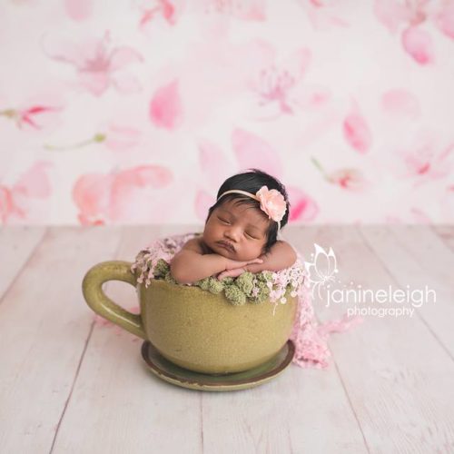 Sweet Pea Backdrop