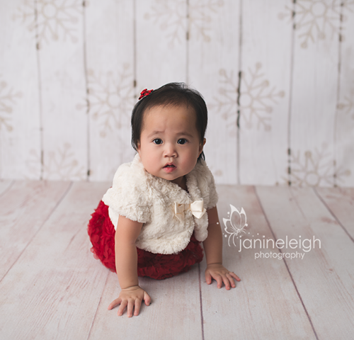 White Christmas Photo Backdrop