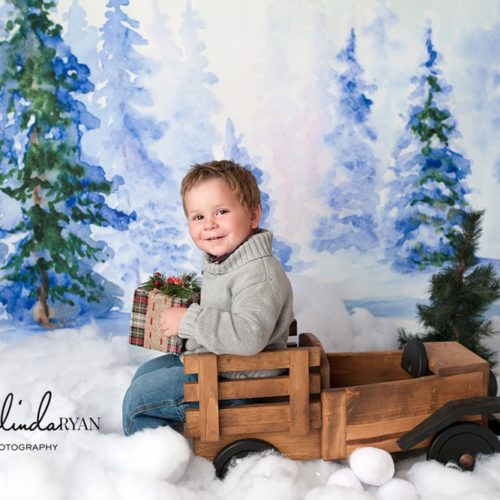 Winter Wonderland Photography Backdrop, Truck Photo Prop