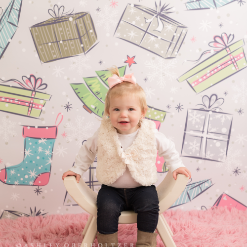 Merry & Bright Backdrop