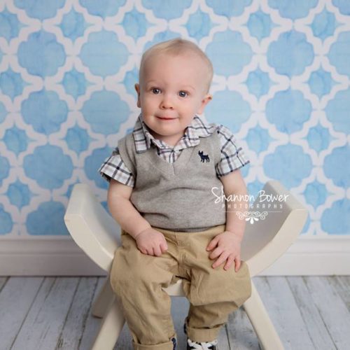 Little Boy Blue Backdrop