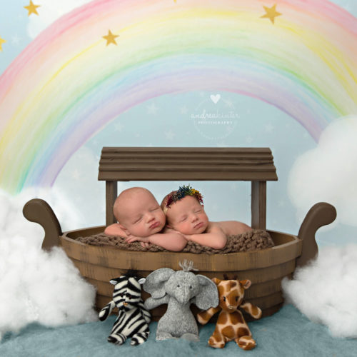 Rainbow Baby Prop Rainbow Baby Prop
