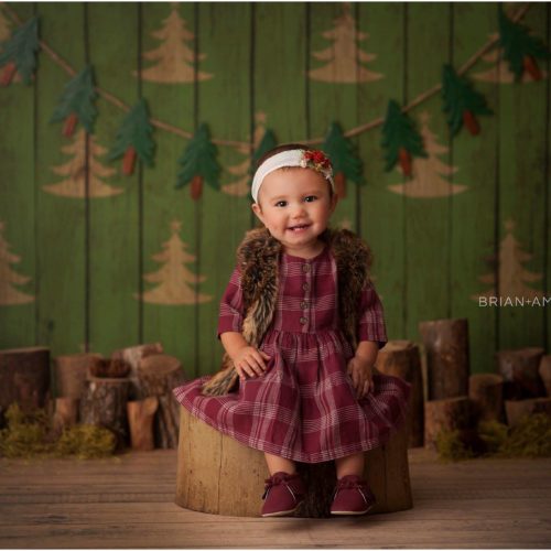 O Christmas Tree Holiday Backdrop
