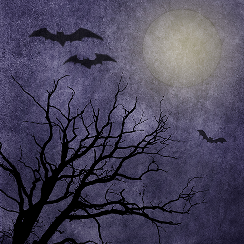 Hallows Eve Backdrop Hallows Eve Backdrop