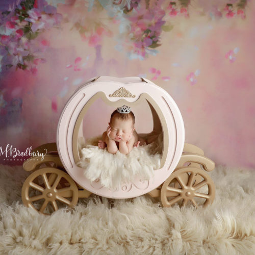 Sleeping Beauty Backdrop