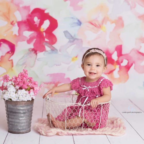 Carrie Gantt Photography Clara backdrop