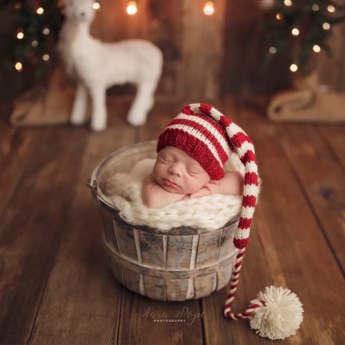 SAra Pope photography bushel basket